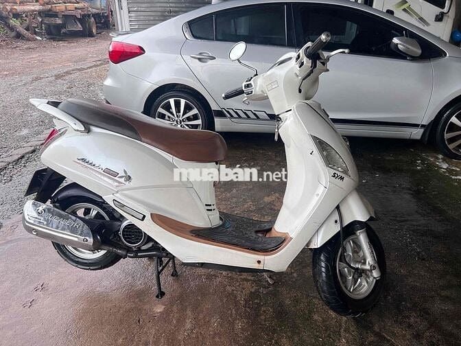 xe gia đình 1 chủ phun xăng