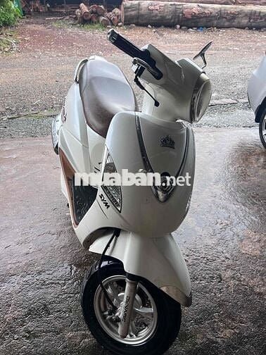 xe gia đình 1 chủ phun xăng