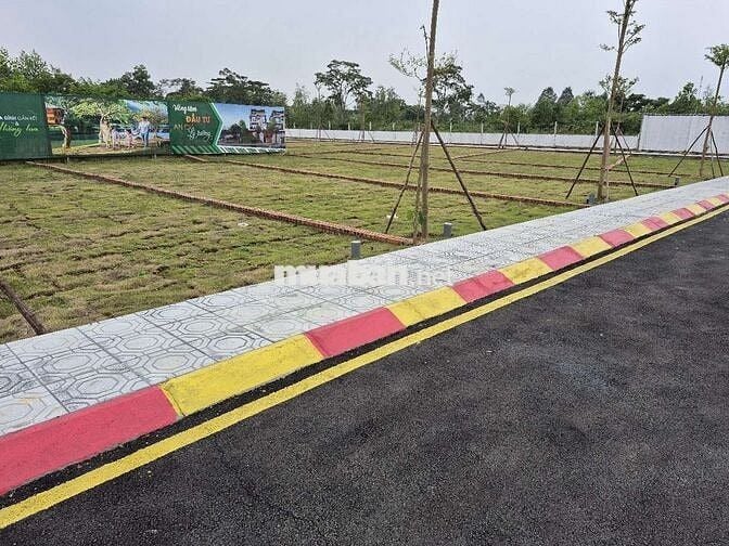 "SỐT! Đất Cổ Đông - 100m² full thổ,gần Hồ Tây - Ba Vì, chỉ 3 phút QL21