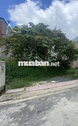 Bán đất nền giá 3 tỷ đường 7, Bình Hưng Hòa, Bình Tân