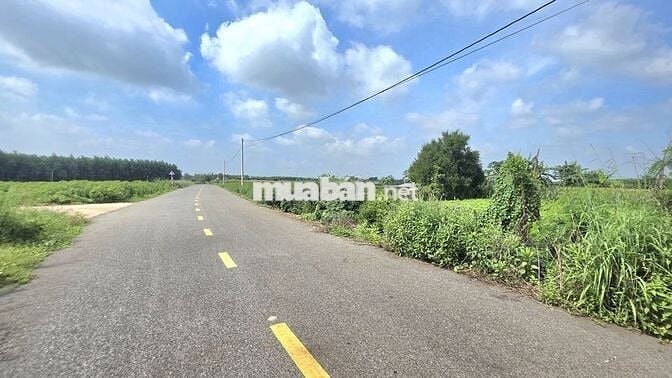 Siêu gộp 1 mẫu 3 láng dài phủ hồng giá 8 tỷ 500