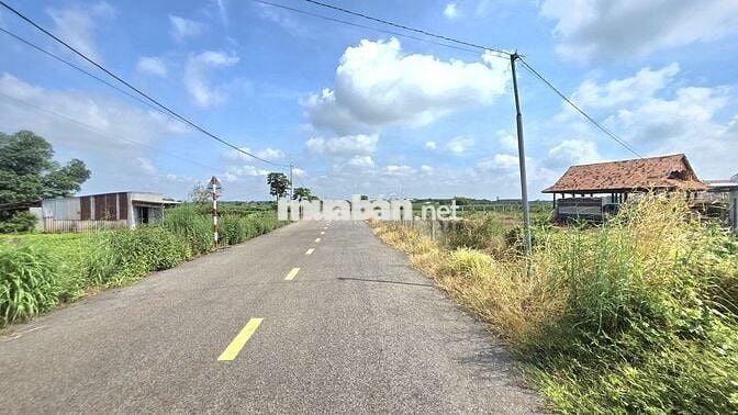 Siêu gộp 1 mẫu 3 láng dài phủ hồng giá 8 tỷ 500