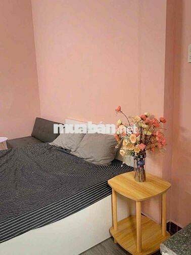 Cho thuê CH Mini TP Biên Hoà! giá chỉ 3,5tr/tháng! hd lâu dài!