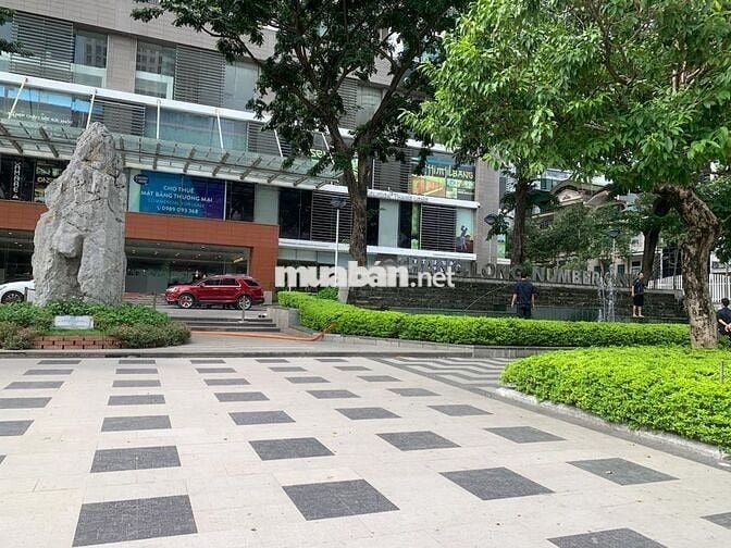 Chính chủ bán CH tòa B Thăng Long Numberone 109m2, 3N,2WC, giá 10.5 tỷ Chính chủ bán CH tòa B Thăng Long Numberone 109m2, 3N,2WC, giá 10.5 tỷ