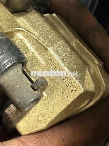 Yaz hải quan thanh lý sang tên bao check