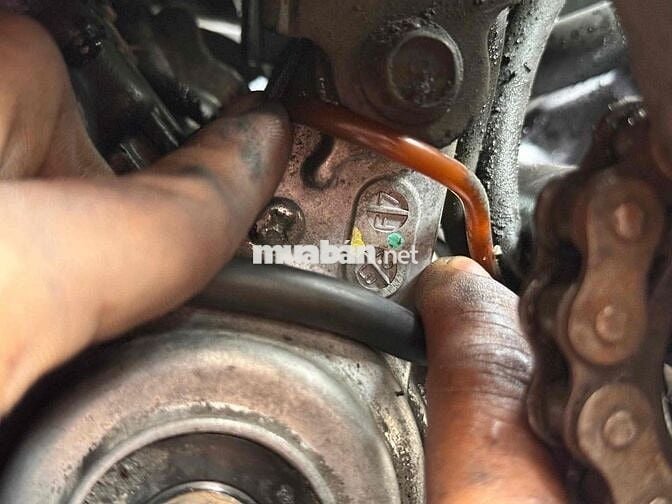 Yaz hải quan thanh lý sang tên bao check