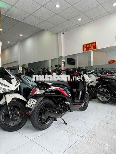 SCOOPY 2019. Xe Zin Cực Đẹp - Máy Zin Cực Êm