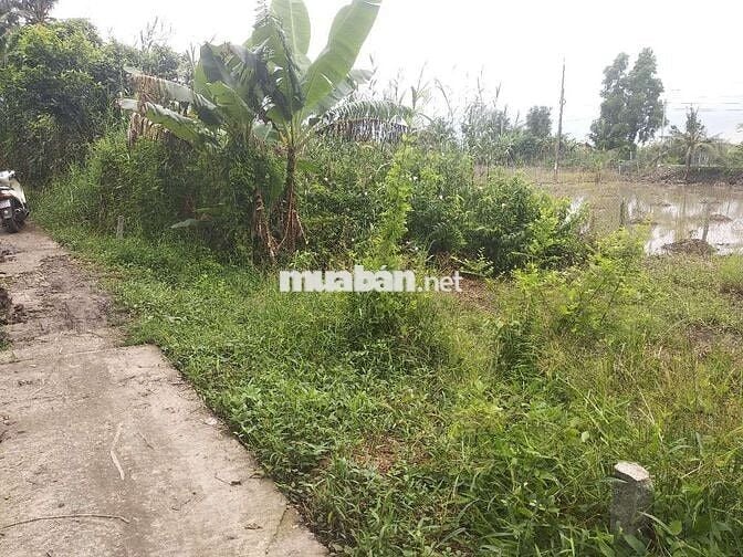 280 TRIỆU CÁCH KCN BÌNH MINH 6km