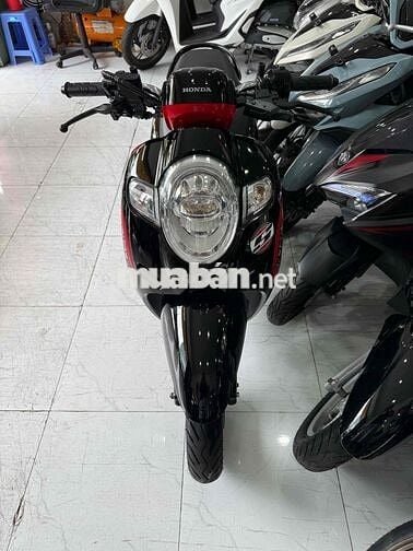 SCOOPY 2019. Xe Zin Cực Đẹp - Máy Zin Cực Êm