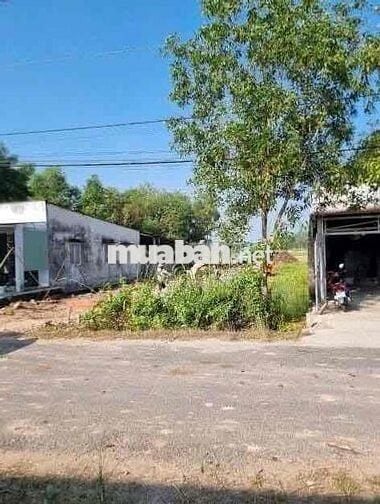 Chủ gửi nhờ bán dùm để chữa bệnh, lô ở lê thị long củ chi dtich 208m2