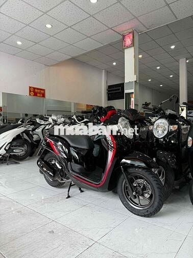 SCOOPY 2019. Xe Zin Cực Đẹp - Máy Zin Cực Êm