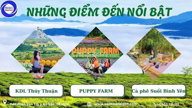 TOUR ĐÀ LẠT 3 NGÀY 3 ĐÊM - KHỞI HÀNH HÀNG TUẦN 