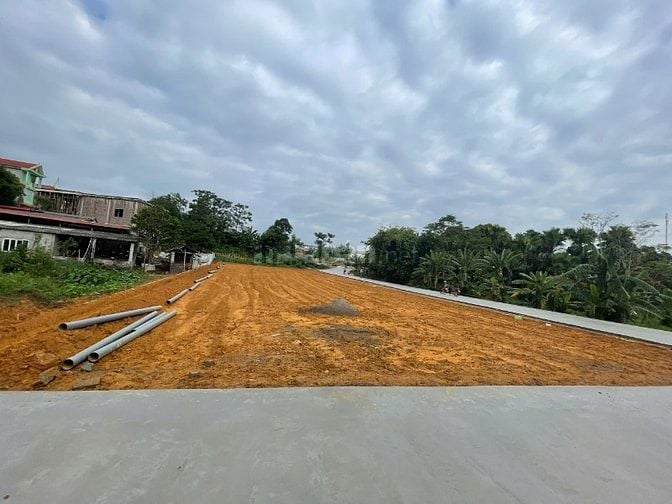 Bán đất nền gần Vườn Vua, 650 triệu, 100m2, Thanh Thuỷ, Phú Thọ