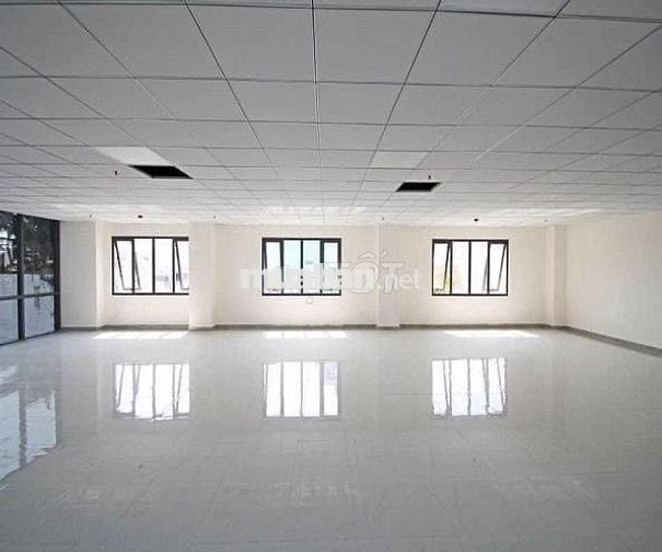 Thuê văn phòng Tân Cảng 90–220m², sàn trệt & lầu, giá chỉ từ 310k/m²