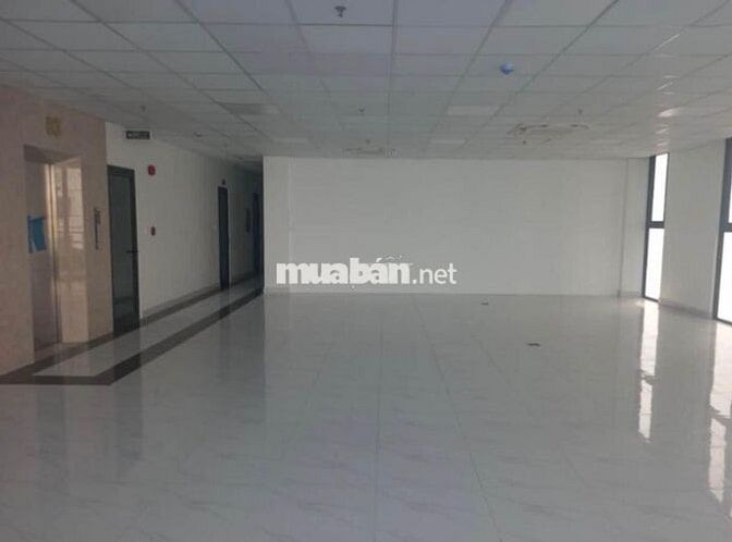 Thuê văn phòng Tân Cảng 90–220m², sàn trệt & lầu, giá chỉ từ 310k/m²
