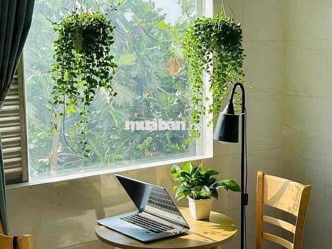 (HÌNH THẬT-GIÁ THẬT) DUPLEX VIEW XỊN MẶT KÍNH - NGAY CẦU CHỢ CẦU