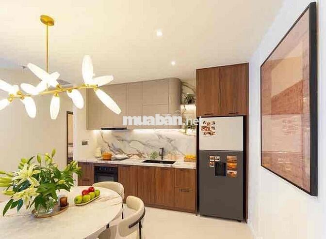 Bán Căn Hộ 2PN 70m2 rẻ nhất Hồ chí Minh giá 39,5tr/m2