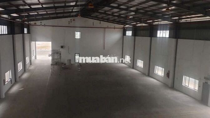 BÁN NHÀ XƯỞNG 3.000m² – KCN HẢI SƠN, ĐỨC HÒA ĐÔNG, LONG AN (Mới 99%)
