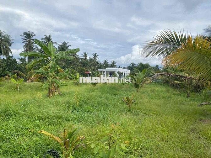 Tam Phước Đối Diện Tái Định Cư CRM2