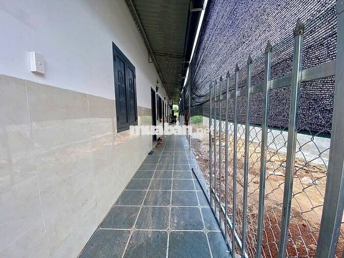 Chủ gửi bán đất xây dãy trọ cho thuê 8tr/ tháng cách KCN An Bình 2,5km