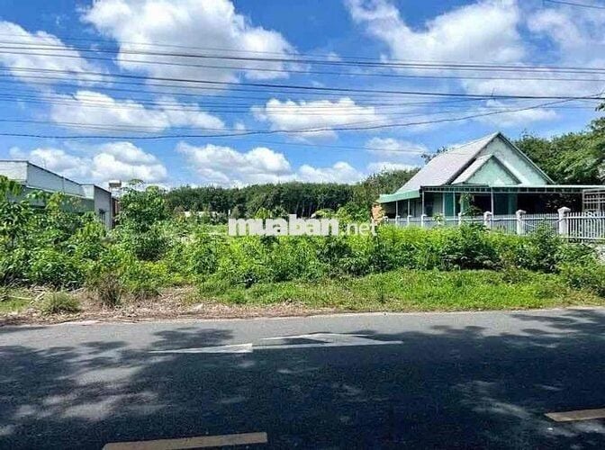 Tiếp tục lên cho anhchi lô đất mt dh504 Gần TTHC xã Phước Thành