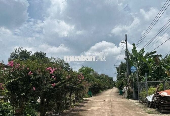 Cần sang lô đất 281m2 trục đường DH kinh doanh đa ngành nghề