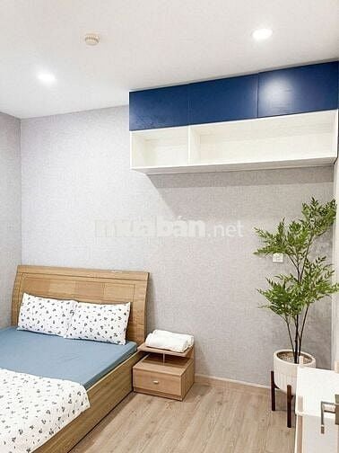 CHO THUÊ NHIỀU CĂN HỘ EMERALD,RUBY DIAMOND CELADON CITY QUẬN TÂN PHÚ