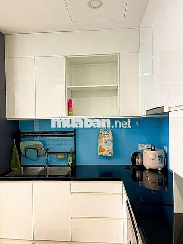 CHO THUÊ NHIỀU CĂN HỘ EMERALD,RUBY DIAMOND CELADON CITY QUẬN TÂN PHÚ