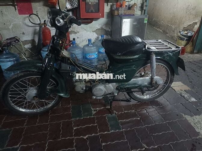 Honda Cub 81 50 học sinh zin đẹp máy êm giấy TPHCM