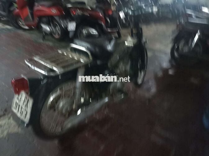 Honda Cub 81 50 học sinh zin đẹp máy êm giấy TPHCM