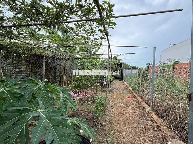 CHÍNH CHỦ CẦN BÁN LÔ ĐẤT 152m SAU LƯNG ỦY BAN XÃ PHƯỚC VÂN