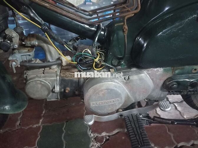 Honda Cub 81 50 học sinh zin đẹp máy êm giấy TPHCM