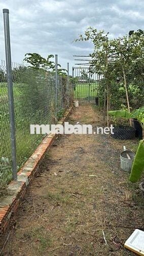 CHÍNH CHỦ CẦN BÁN LÔ ĐẤT 152m SAU LƯNG ỦY BAN XÃ PHƯỚC VÂN