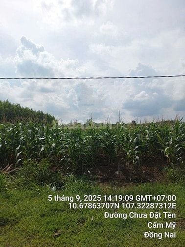 Công ty Đấu giá hợp danh Sao Việt 