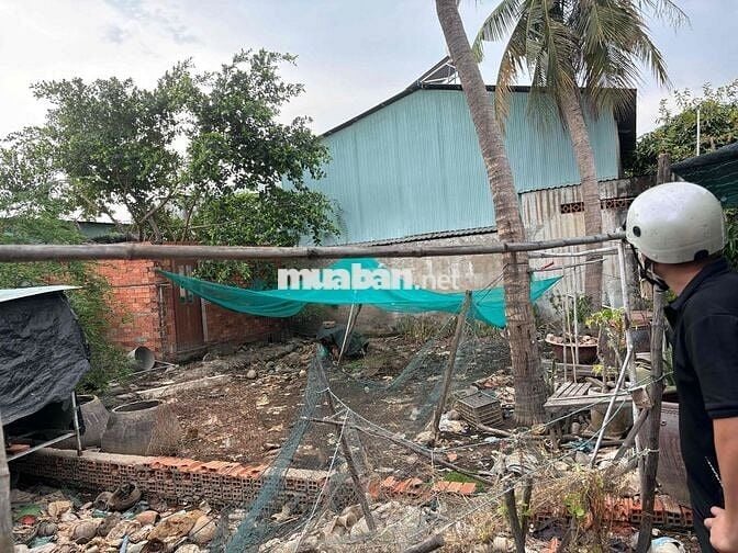 Bán đất Thổ Cư Chính Chủ 80m2 Xã Bình Khánh Cần Giờ(còn thương lượng)