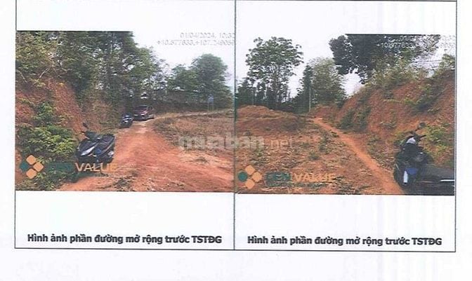 BÁN ĐẤU GIÁ TS VIB L8_XÃ ĐÁ BẠC, CHÂU ĐỨC, BRVT (NAY LÀ TP.HCM)