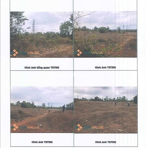 BÁN ĐẤU GIÁ TS VIB L8_XÃ ĐÁ BẠC, CHÂU ĐỨC, BRVT (NAY LÀ TP.HCM)