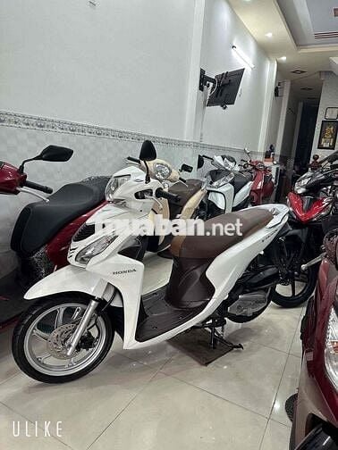 Honda Vision Fi ( chính chủ ) BS: 65 Cần Thơ