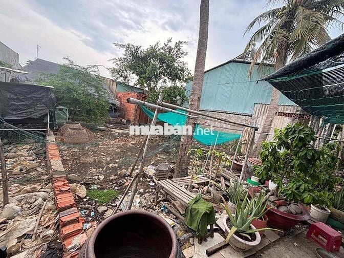 Bán đất Thổ Cư Chính Chủ 80m2 Xã Bình Khánh Cần Giờ(còn thương lượng)