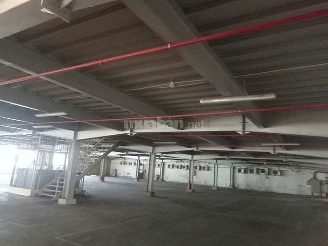 Cho thuê kho xưởng 9.000m2 , tại KCN Đức Hòa , Long An , PCCC tự động