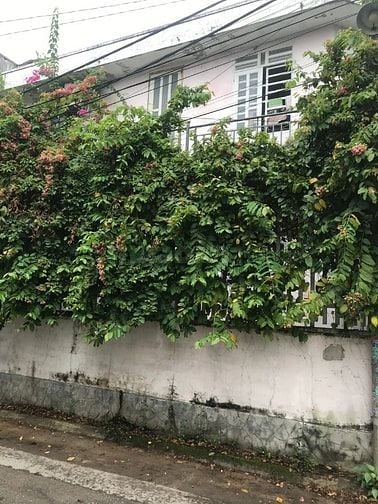 Bán Nhà lô góc, Đường số 2, hẻm tải tránh, 81m2, giá 5,8 tỷ