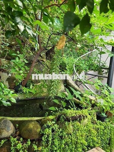 CẦN CHO THUÊ NHÀ HẺM KHU TRUNG TÂM ĂN UỐNG