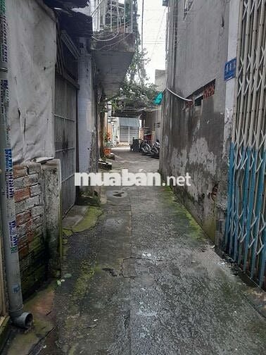 Chủ dễ tính cho thuê cố định lâu dài