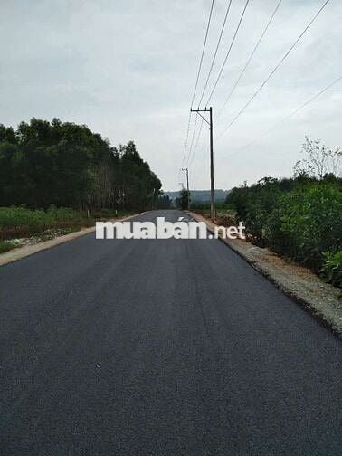 Cần bán 2 hecta đất vườn cây ăn trái , có sẵn 200m thổ cư