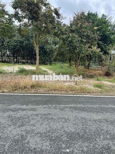 Cần Bán Lô Đất Mặt Tiền Cao Bá Quát