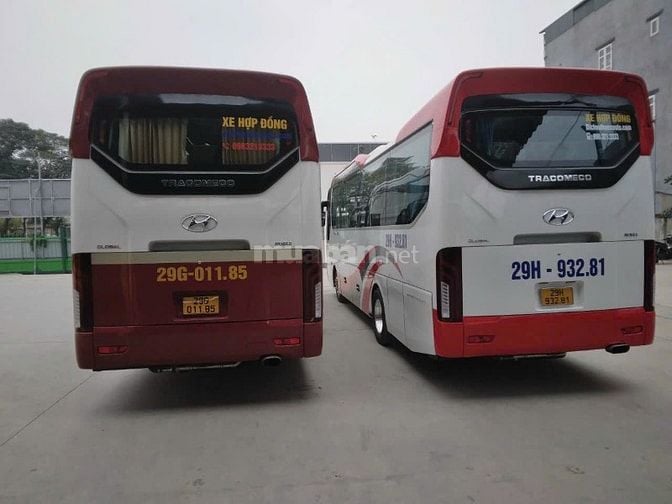 Cần tuyển lái xe hạng D, E chạy du lịch xe 16, 29, 35, 45 chỗ