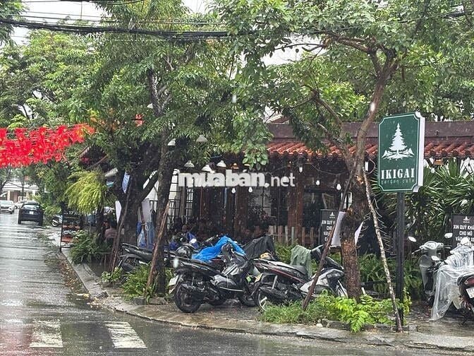 Gần C viên Apec, ra C viên Bình Minh 100 bước, số 25 Phan Thành Tài