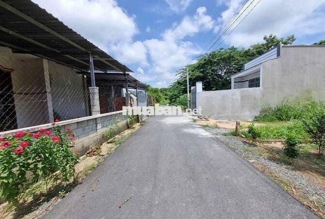 Hàng ngộp bán gấp lô đất giá rẻ 550tr Nguyễn Thị Rành - Cù Chi , SHR