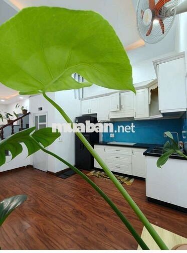 Nhà phố 74m 3 phòng ngủ gần chợ Dĩ An 1 và BigC Go