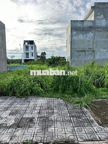 Cần bán 120m2 đất thổ cư Bình Chánh – sổ hồng riêng – xây dựng ngay